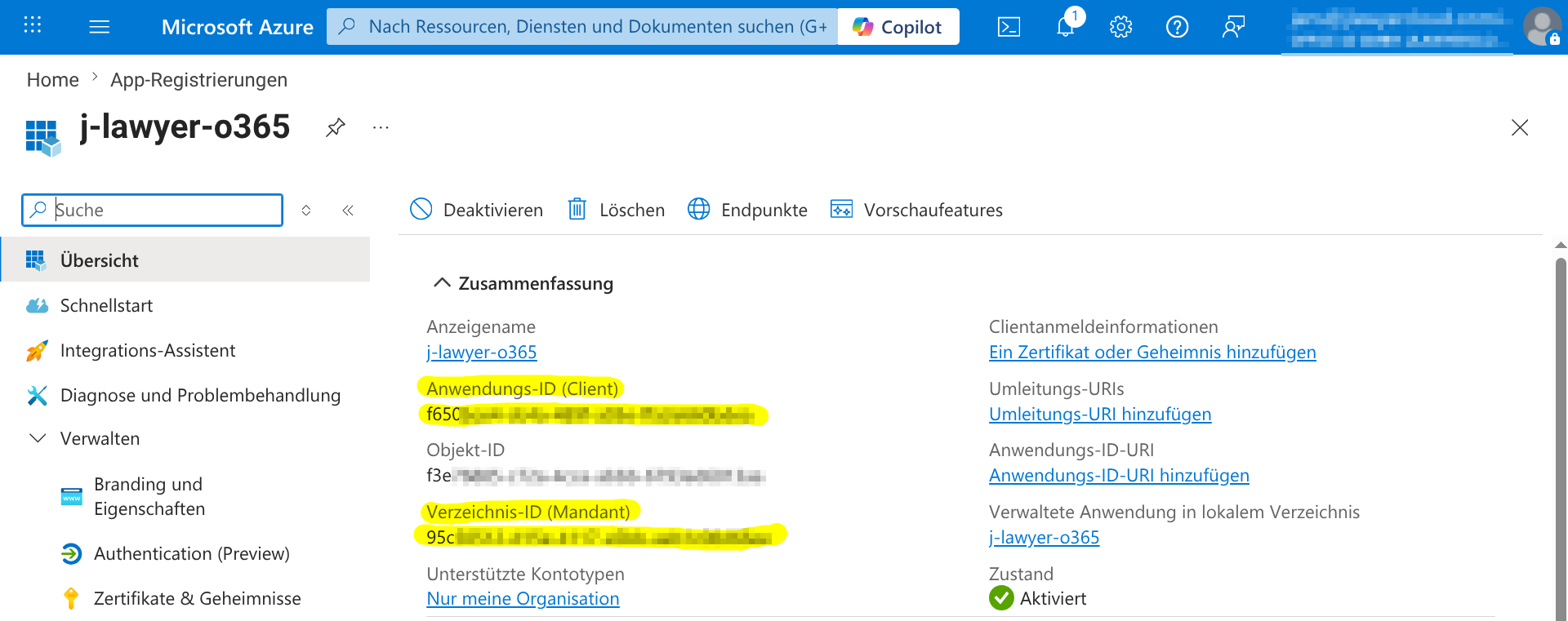 Anwendungs-ID und Verzeichnis-ID in der App-Übersicht